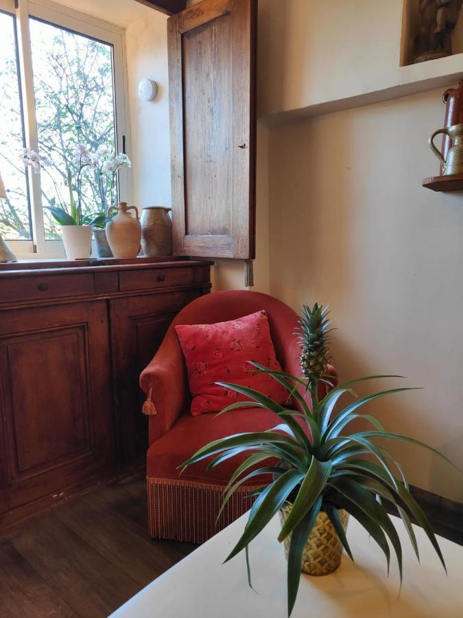 Maison Ancienne Romantique Avec Terrasse Panoramique Vaison-la-Romaine Esterno foto